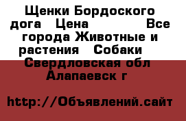 Щенки Бордоского дога › Цена ­ 60 000 - Все города Животные и растения » Собаки   . Свердловская обл.,Алапаевск г.